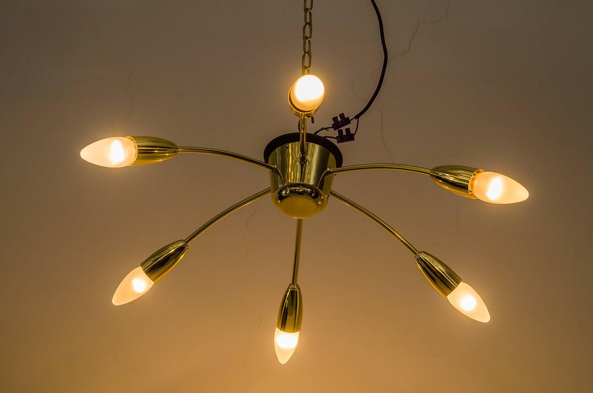 Austriaco Lampadario Rupert Nikoll, anni '50 circa in vendita