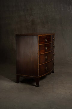 English Mahogany Lion Handle Faux Bamboo Chest (Circa 1830)