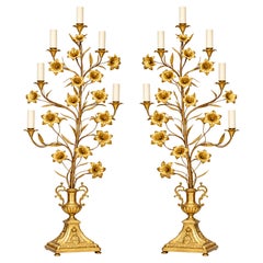 Rara coppia monumentale di candelabri a giglio in bronzo dorato Luigi XV del XVIII secolo