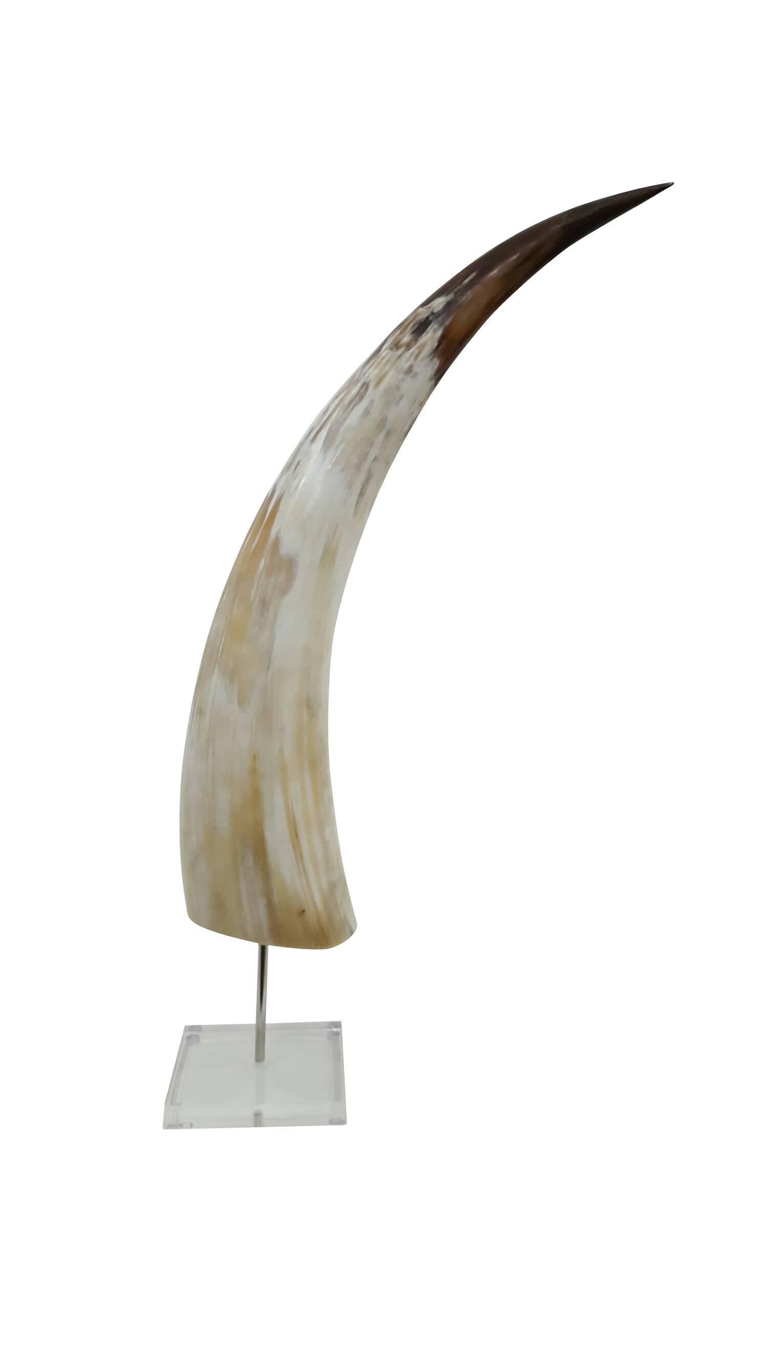Beautiful Horn on acrylic stand.
Dimensions: Stand 5" x 5", total height 30.5".
