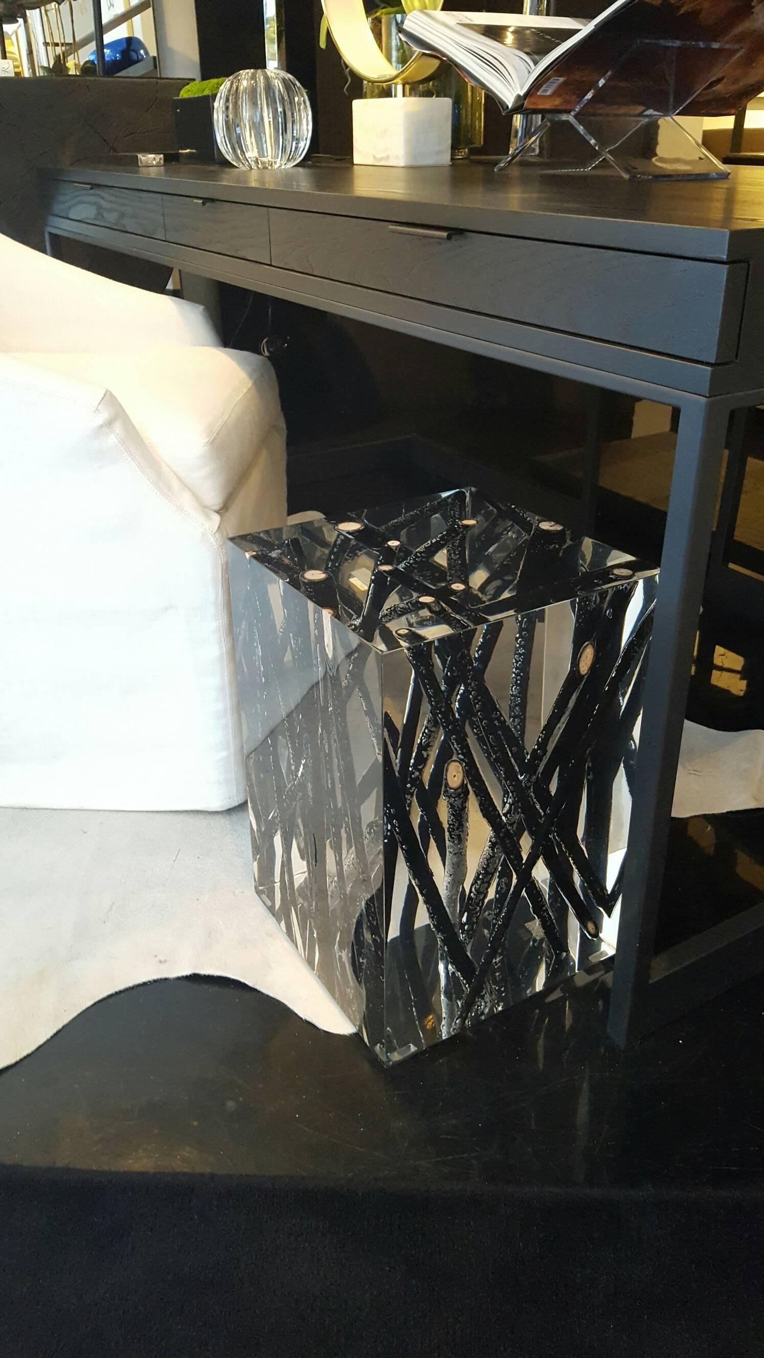 Gorgeous burnt branches in acrylic side table.