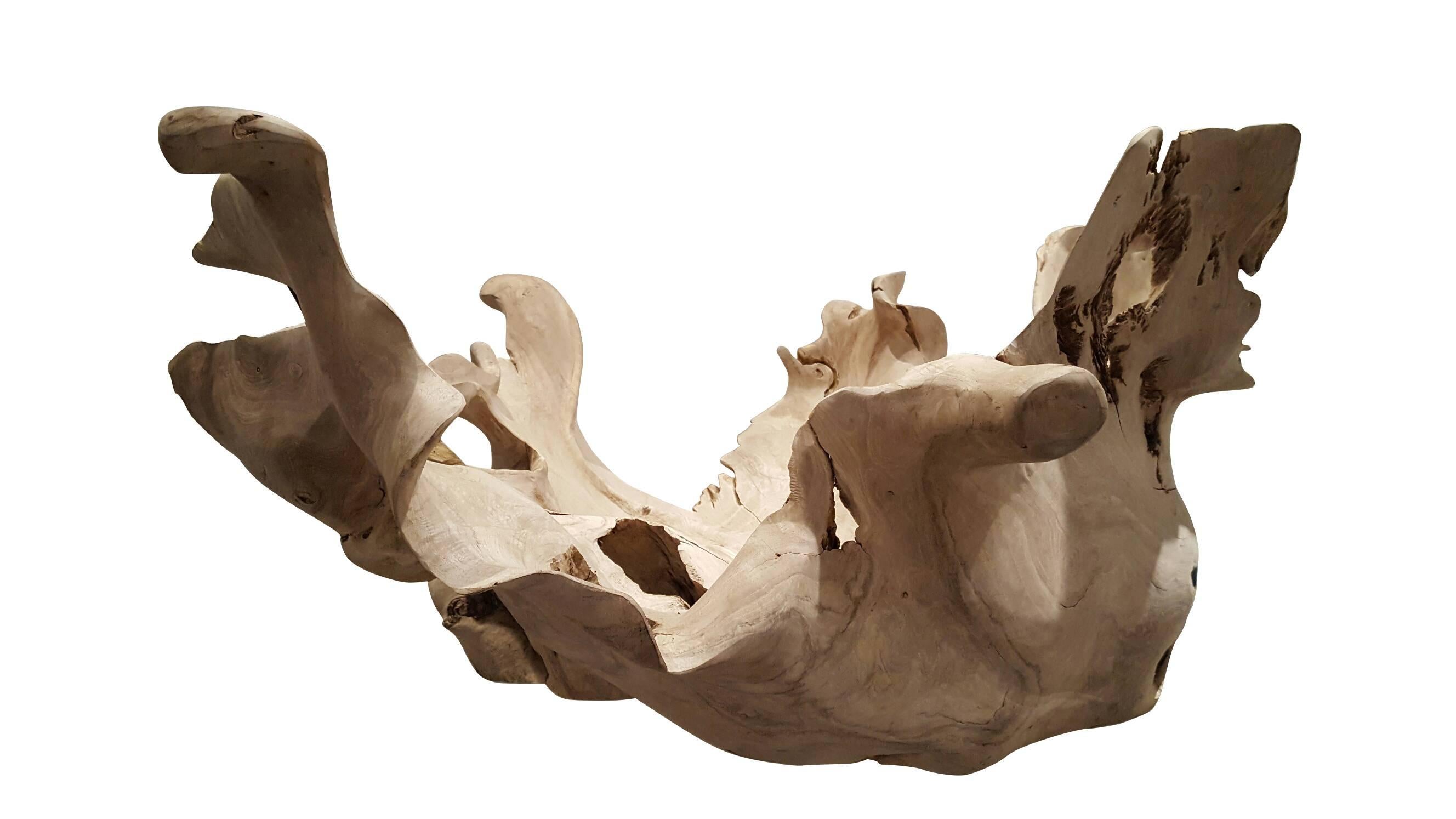 Modern Root Sculpture Bleached