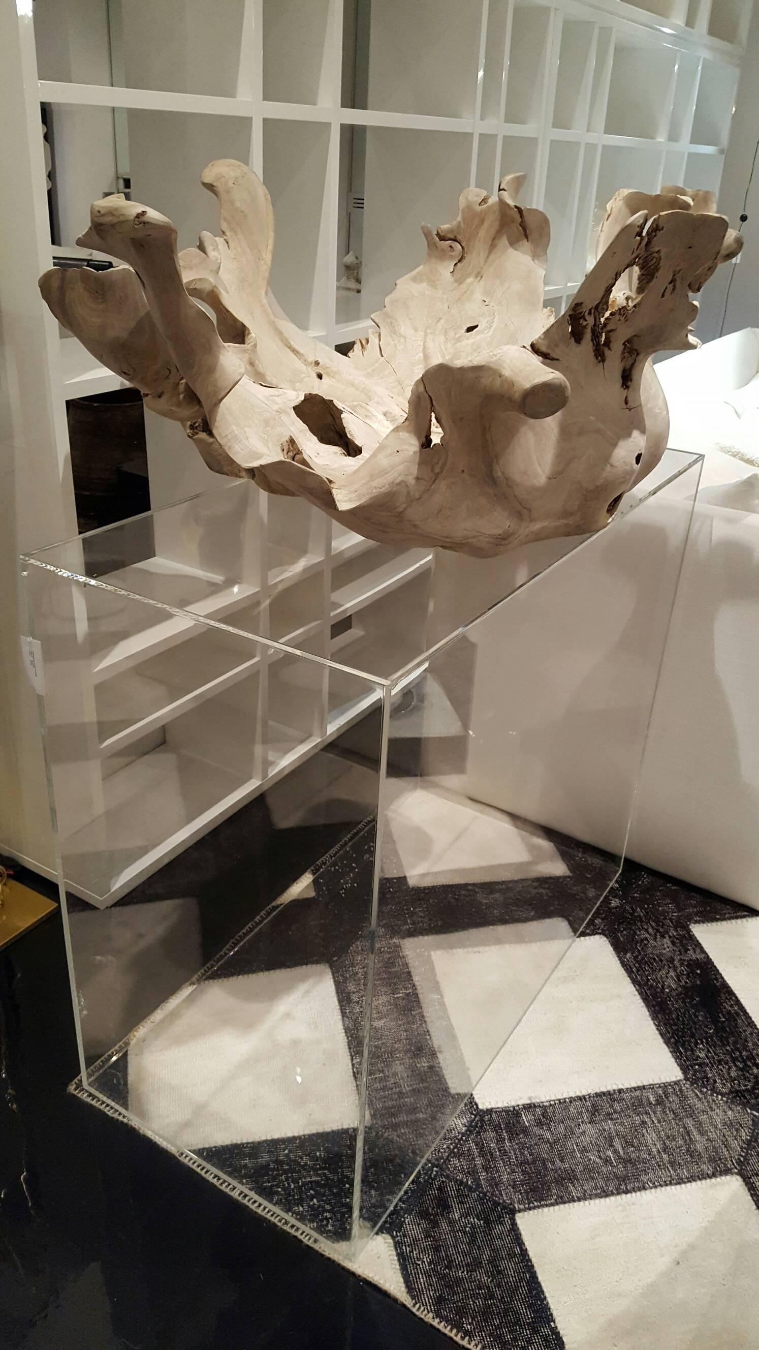 Root Sculpture Bleached In Excellent Condition In New York, NY