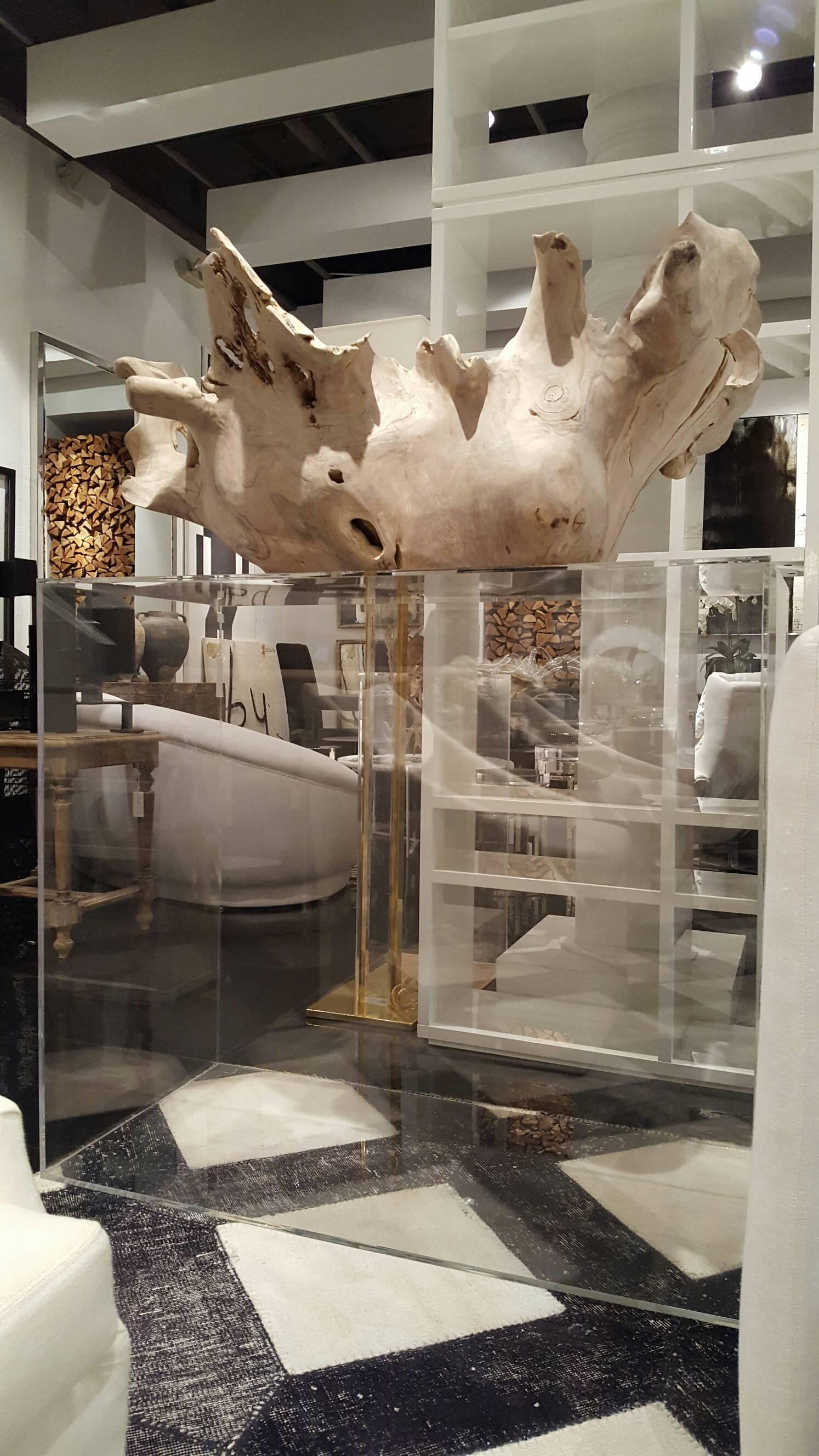 20th Century Root Sculpture Bleached
