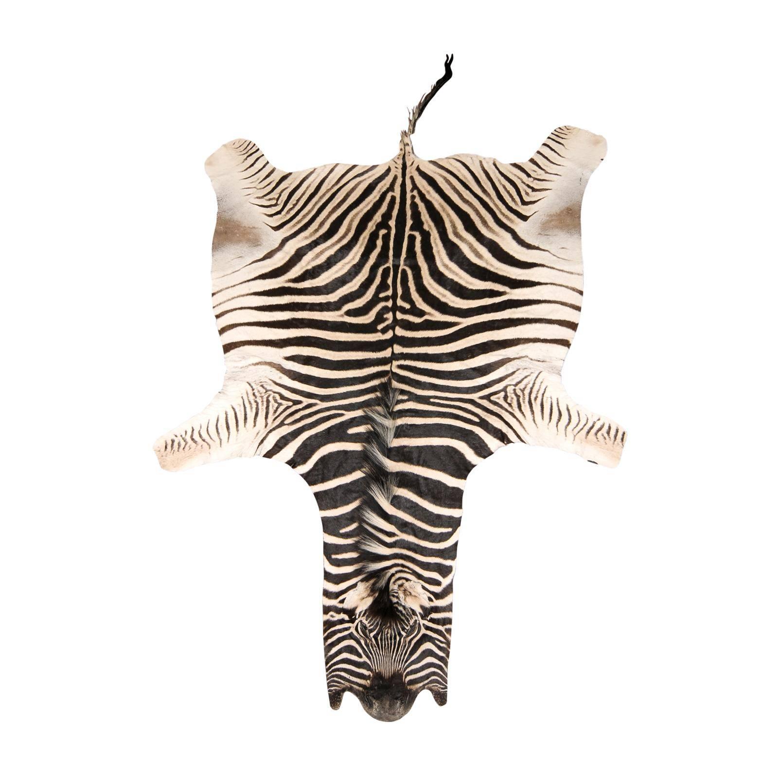 Authentic Zebra Skin Rug