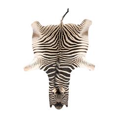Antique Authentic Zebra Skin Rug