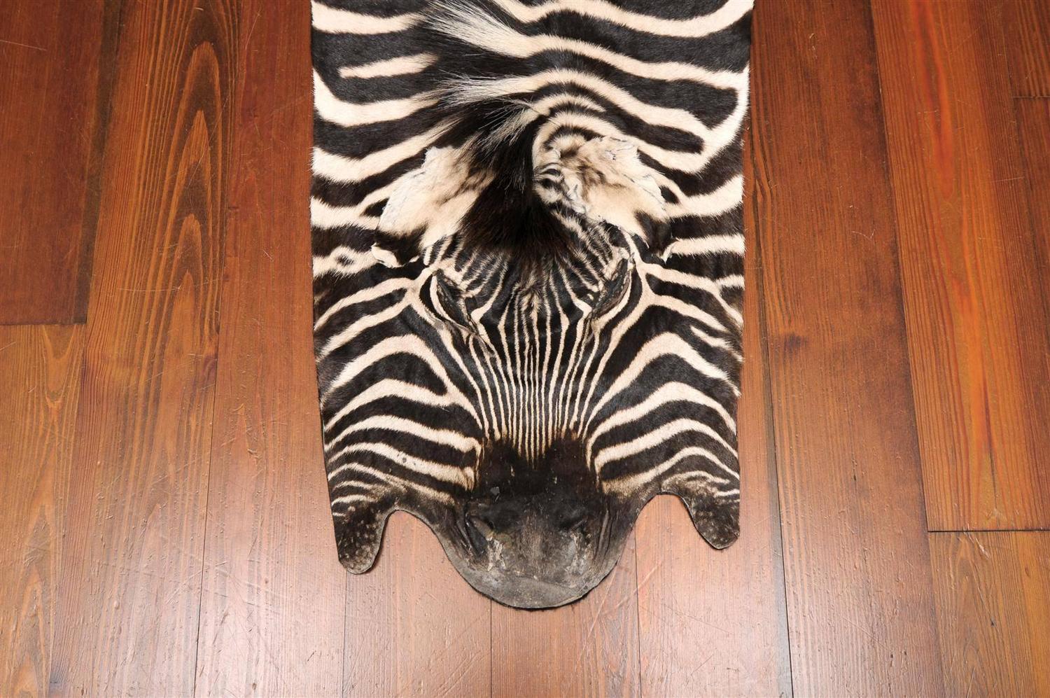 cream and brown zebra rug cream and brown zebra rug