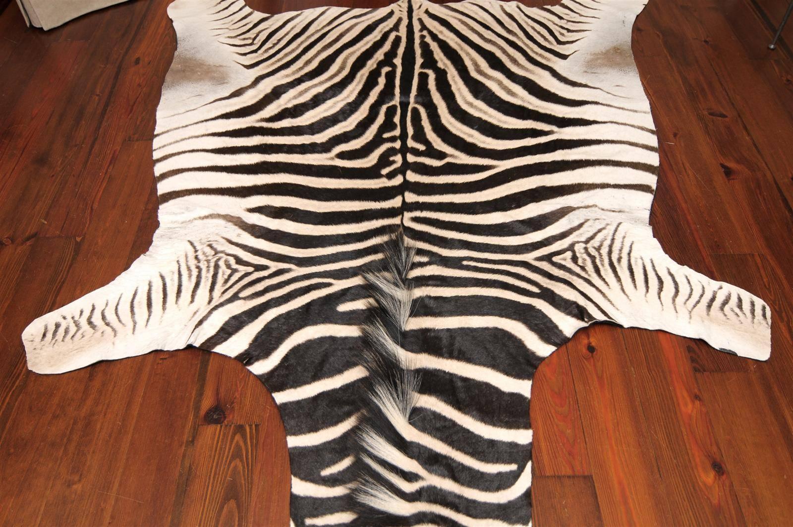 20th Century Authentic Zebra Skin Rug