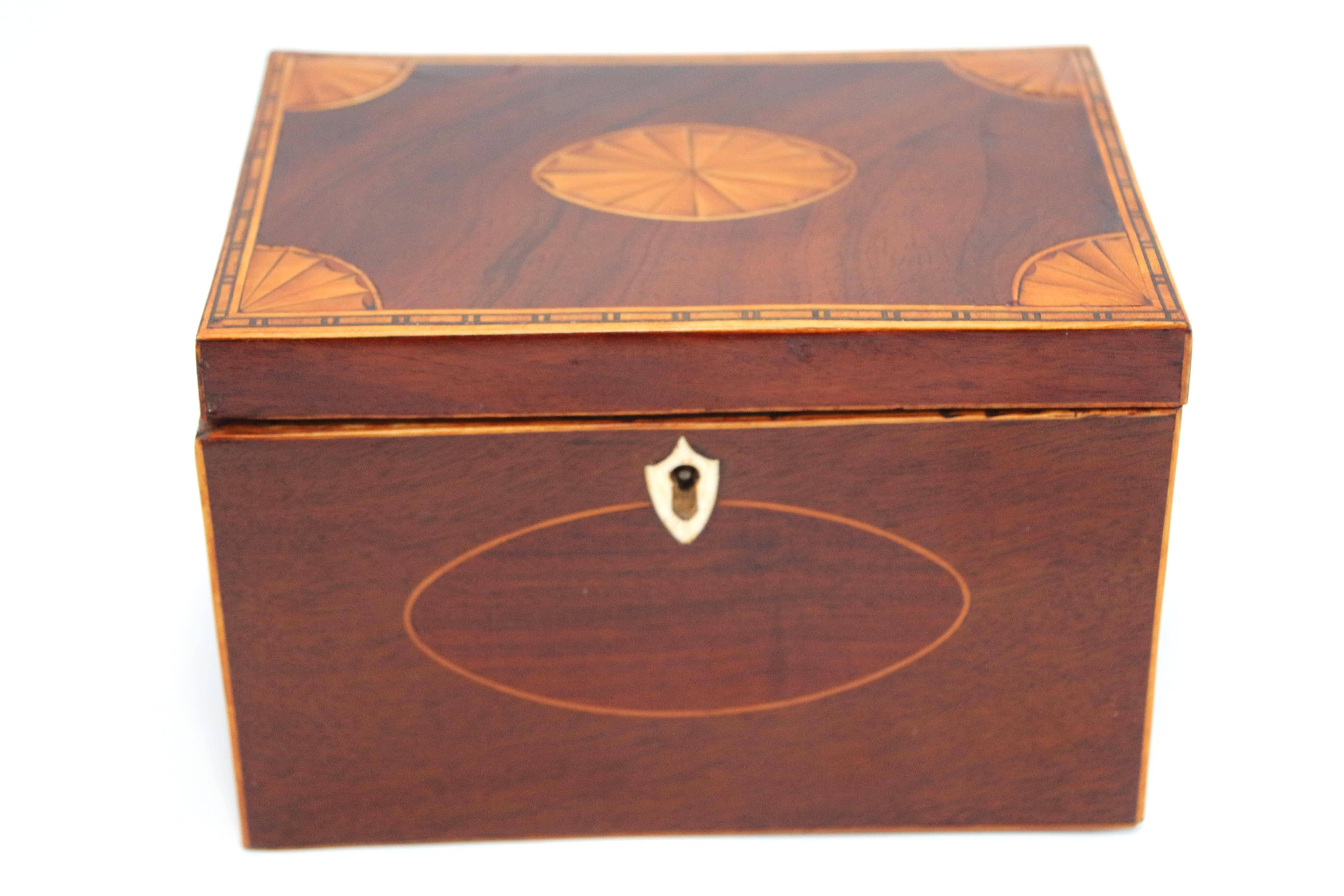 Regency 18th Century Mahogany Tea Caddy with Inlaid Top For Sale