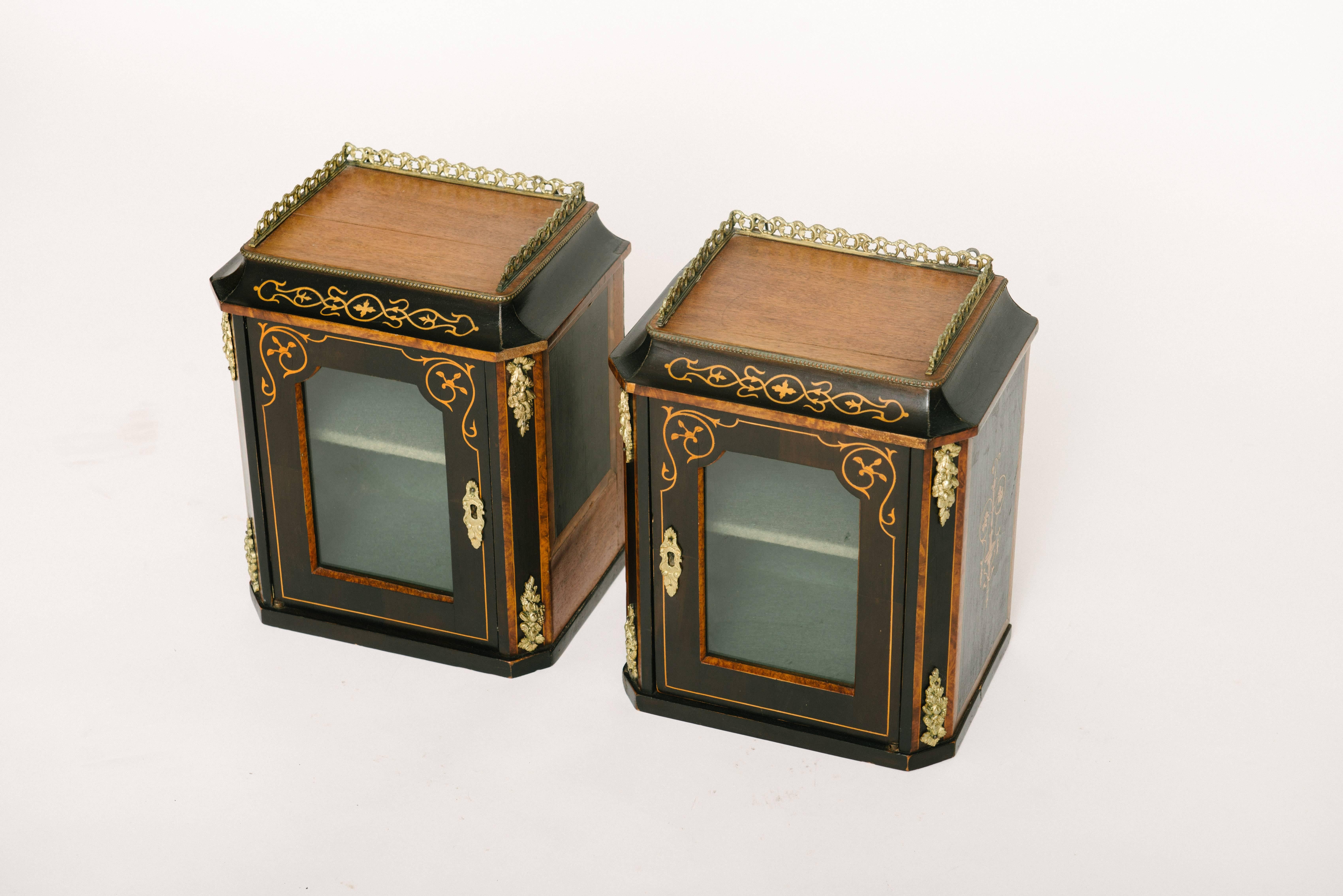 Wood Pair of 19th Century Marquetry Italian Wall Vitrines For Sale