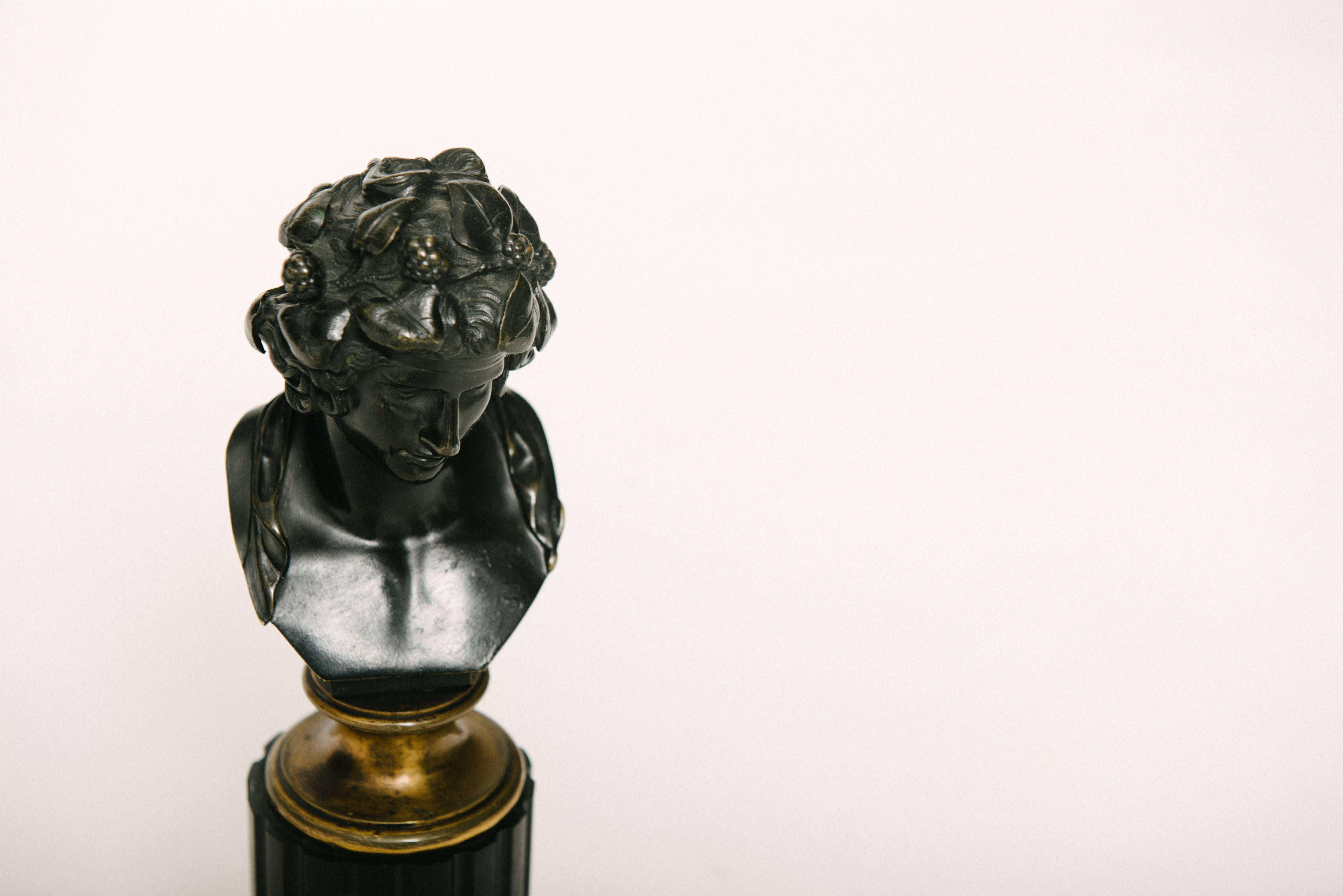 Pair of 19th Century French Patinated Bronze Busts In Excellent Condition In Houston, TX