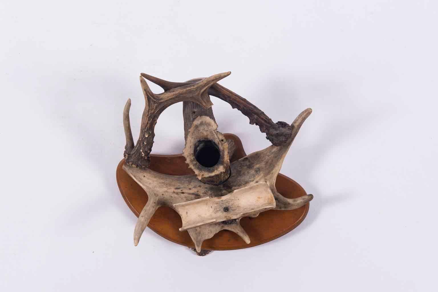 19th Century French Antler Horn Set 2