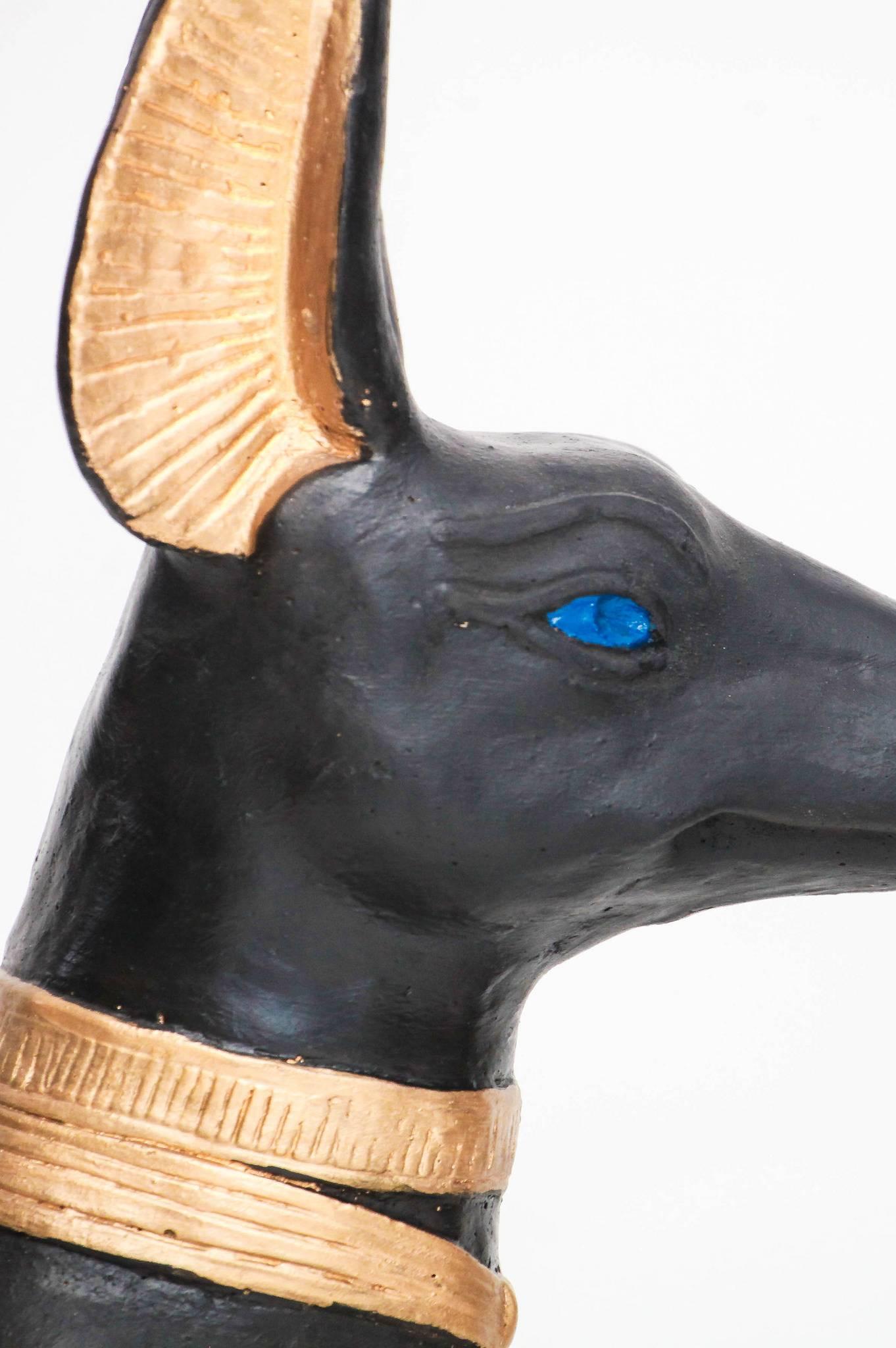 dogs that look like anubis