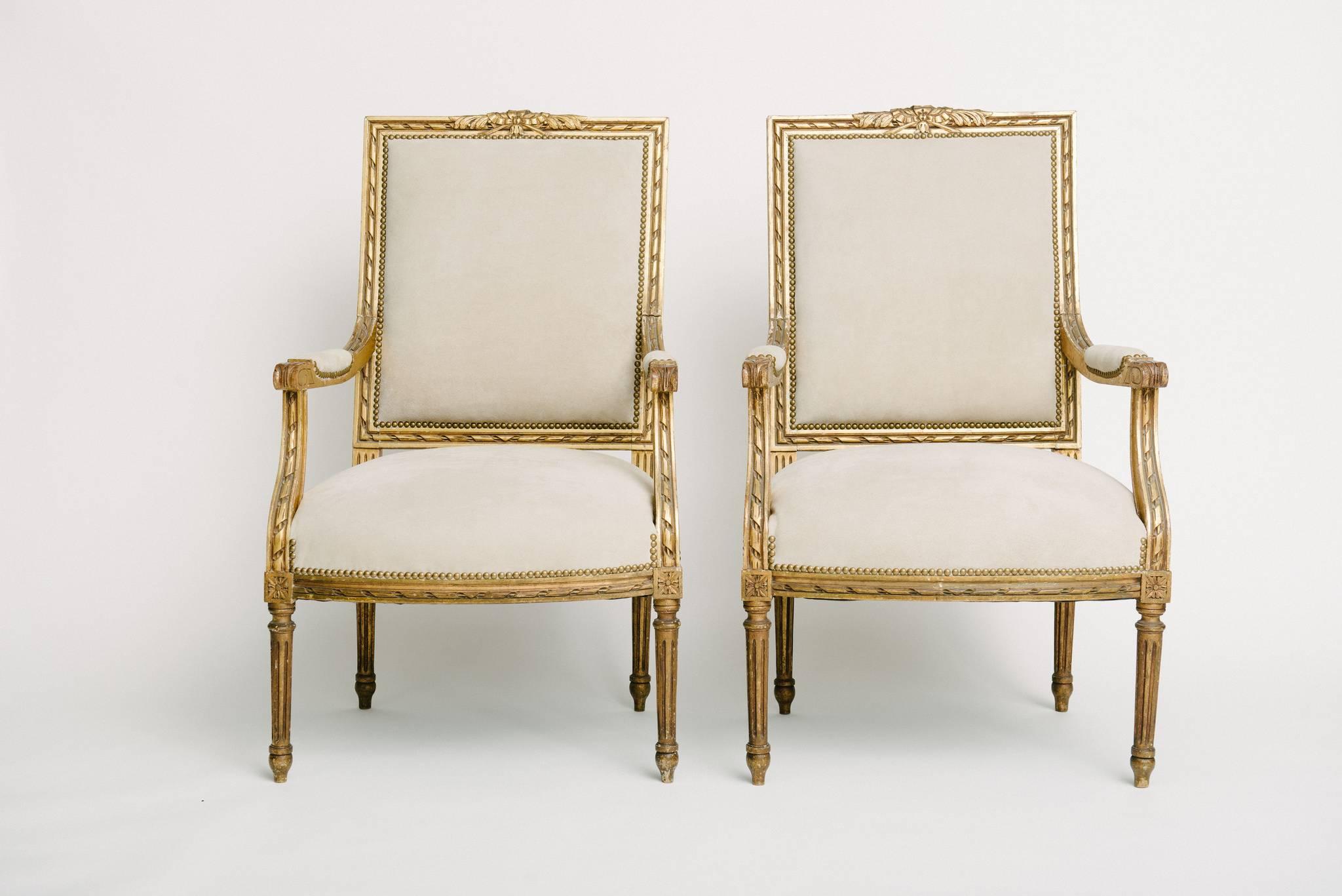 Pair of 19th century Louis XVI style giltwood armchairs newly upholstered in genuine bone colored suede.