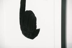 Antique French Millinery Aigrette Art, Leah Chalfen LAAF