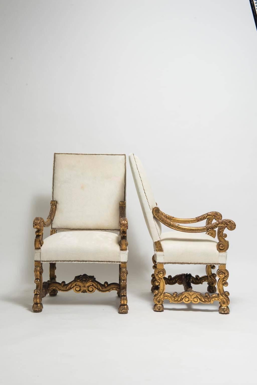A pair of 19th century Italian Louis XIV style giltwood fauteuils newly upholstered in a creamy ecru white hair hide (French product tanned in Italy) with nailhead detail.