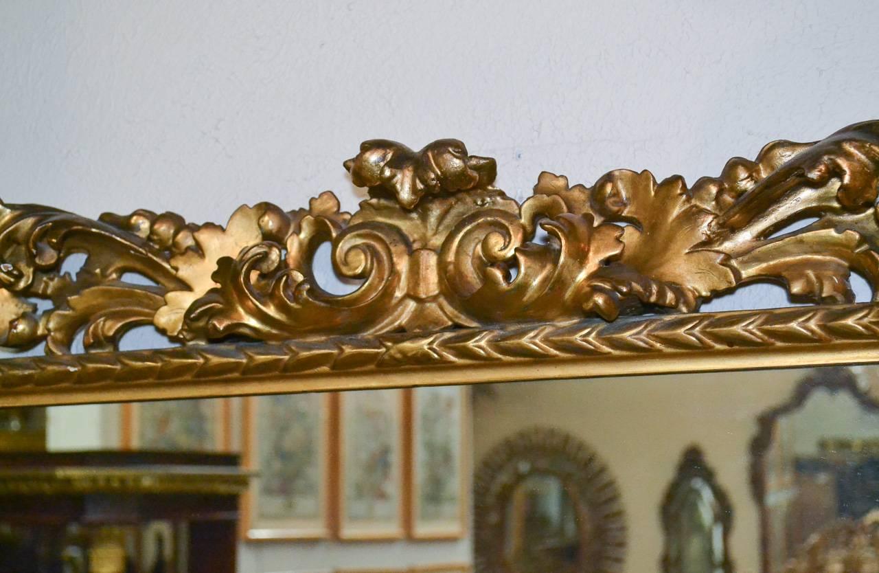 Marvelous pair of 19th century Italian Florentine gold gilded frame mirrors. Having exceptionally caved frames in acanthus leaf motif, and exhibiting a beautiful lustrous finish.