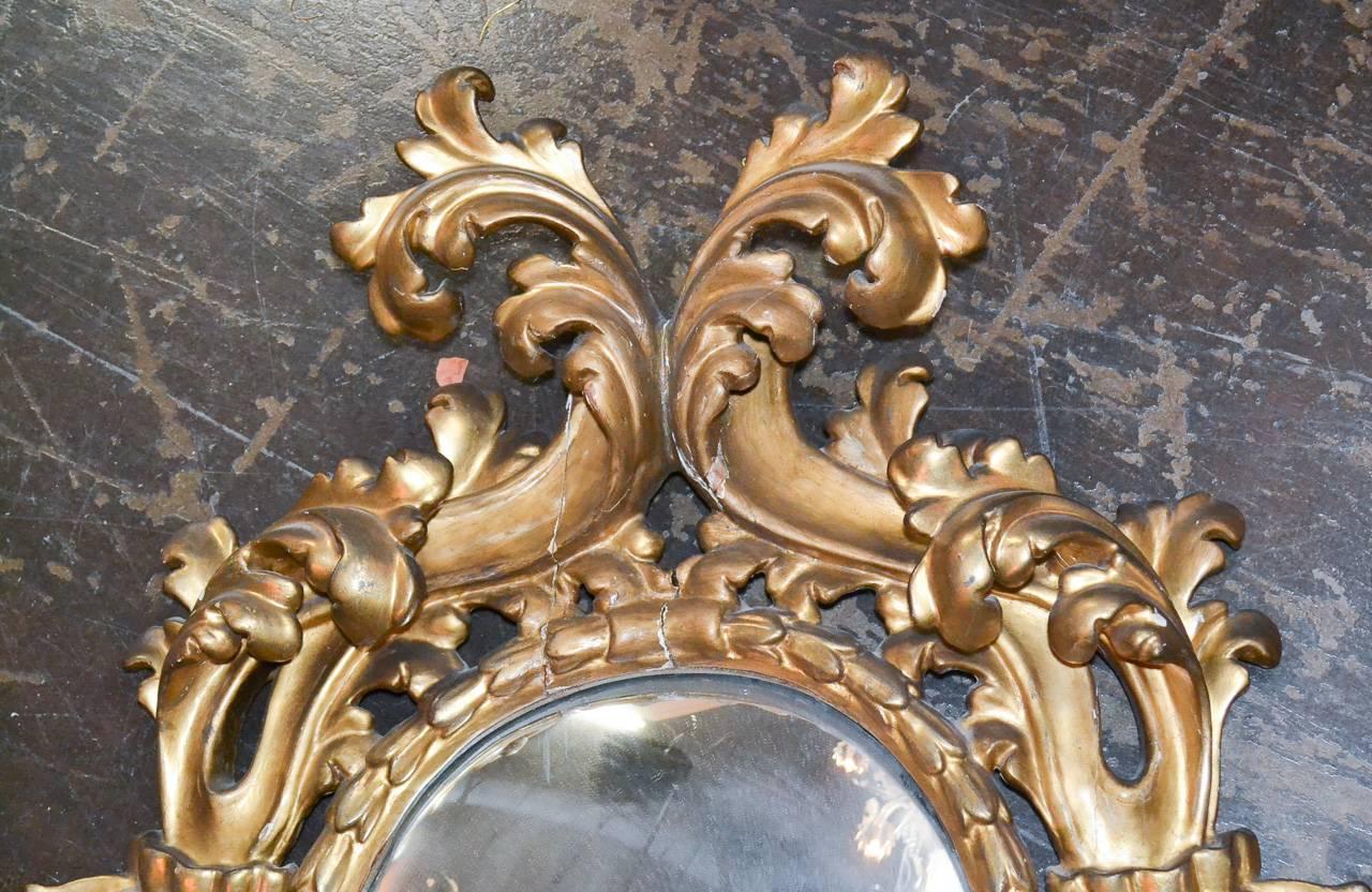Radiant pair of Italian Baroque giltwood mirrors, circa 1800 with two-light sconce. Having lovely carved frames, convex mirrored glass and lustrous patina. Beyond chic for numerous designs!