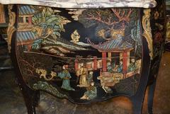 Excellent Pair of French Coromandel Commodes