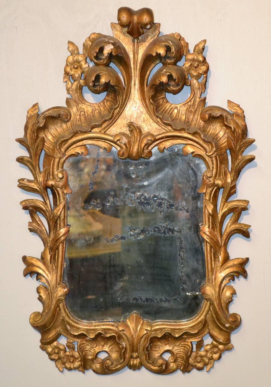 Pair of 19th Century Italian Giltwood Mirrors 1
