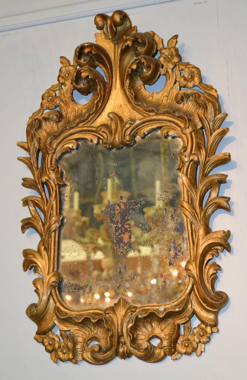 Pair of 19th Century Italian Giltwood Mirrors In Good Condition In Dallas, TX