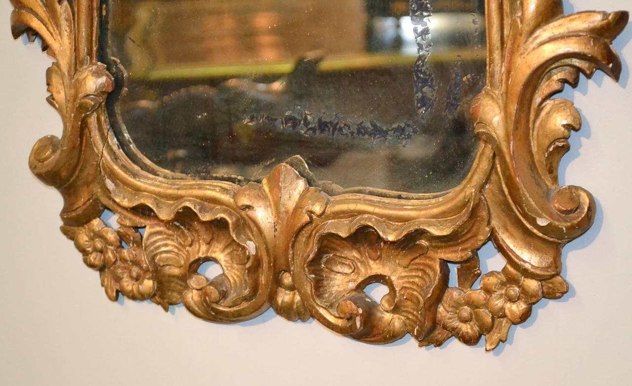 Baroque Pair of 19th Century Italian Giltwood Mirrors