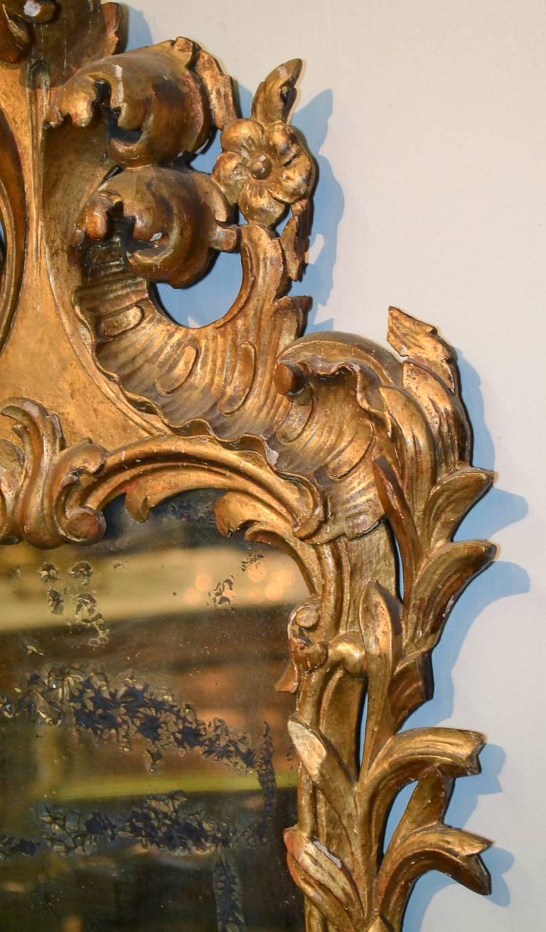 Pair of 19th Century Italian Giltwood Mirrors 2