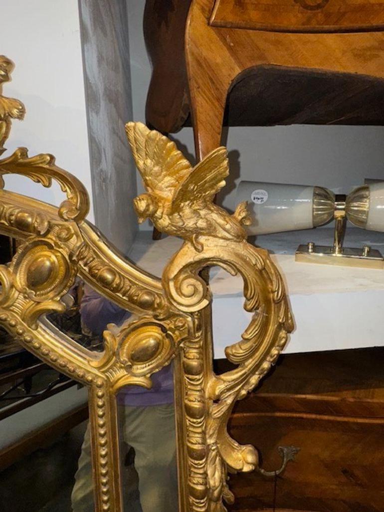 Legno dorato Specchio Luigi XV del XIX secolo con uccelli in vendita