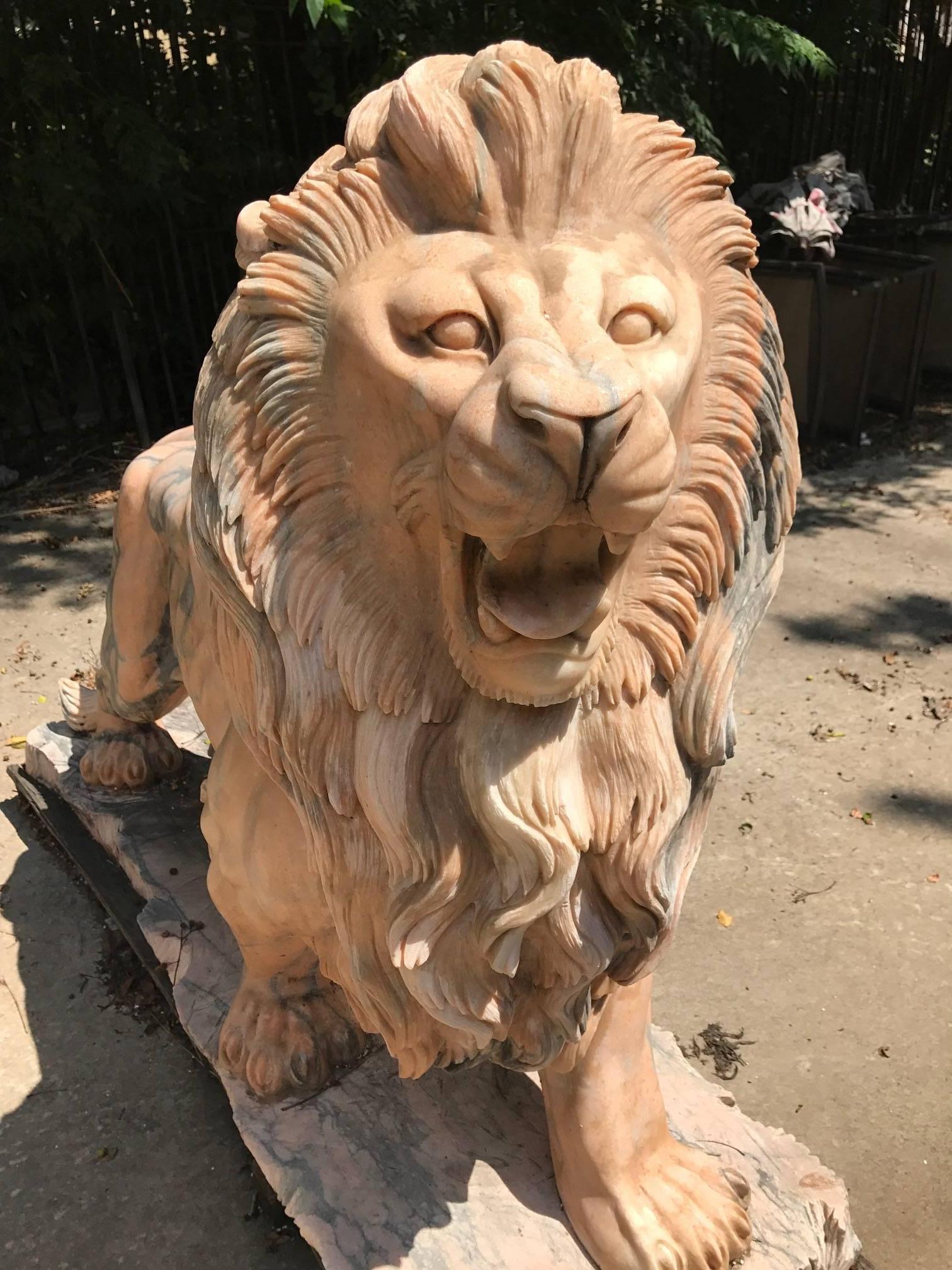 Important pair of Classical hand-carved solid marble lion sculptures of palatial size. The amazing attention to detail make these lions remarkably life-like. The lion sculptures are approximately 45 to 50 years old. The lions are suitable for both