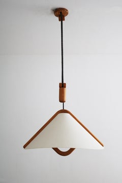 Height-Adjustable Pendant Lamp with Counterweight from Domus 1970s