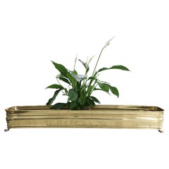 Large Mid-Century Hollywood Regency Planter Jardiniere in Brass Italy 1960s