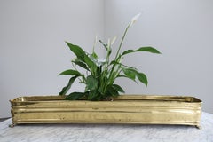 Large Mid-Century Hollywood Regency Planter Jardiniere in Brass Italy 1960s