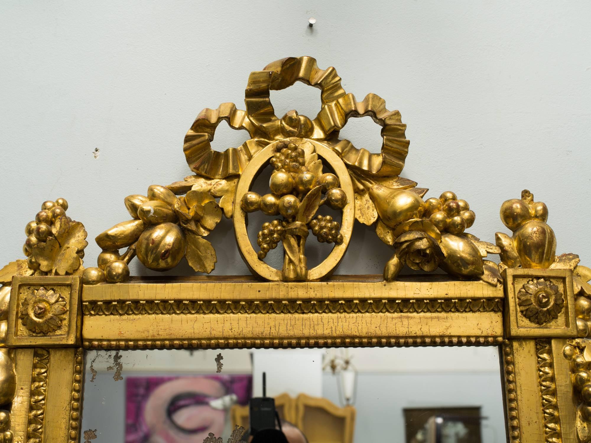 French Carved Gilt Classical Mirror 1