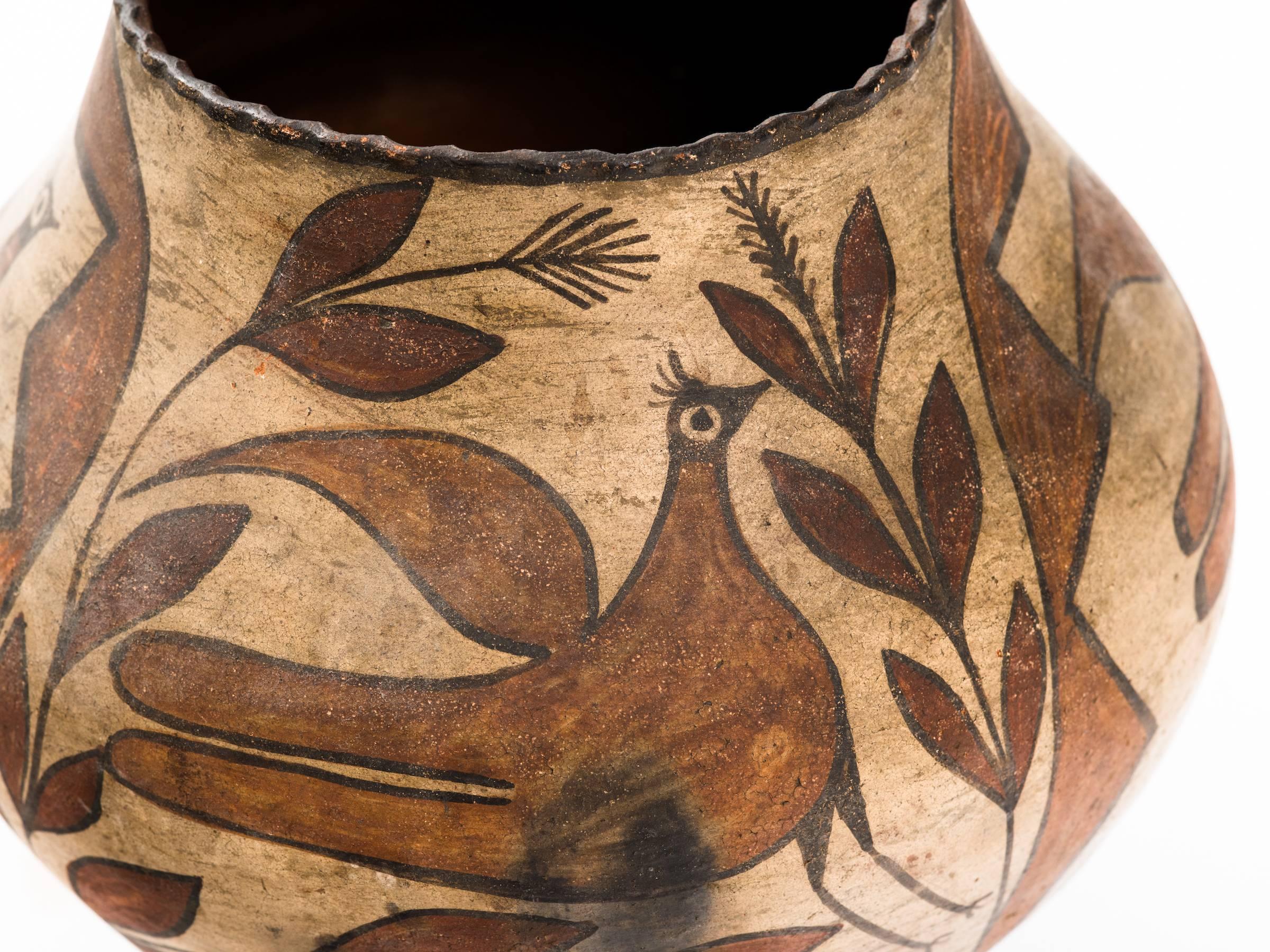 Turn of the Century Zia Pueblo Pottery Olla 1