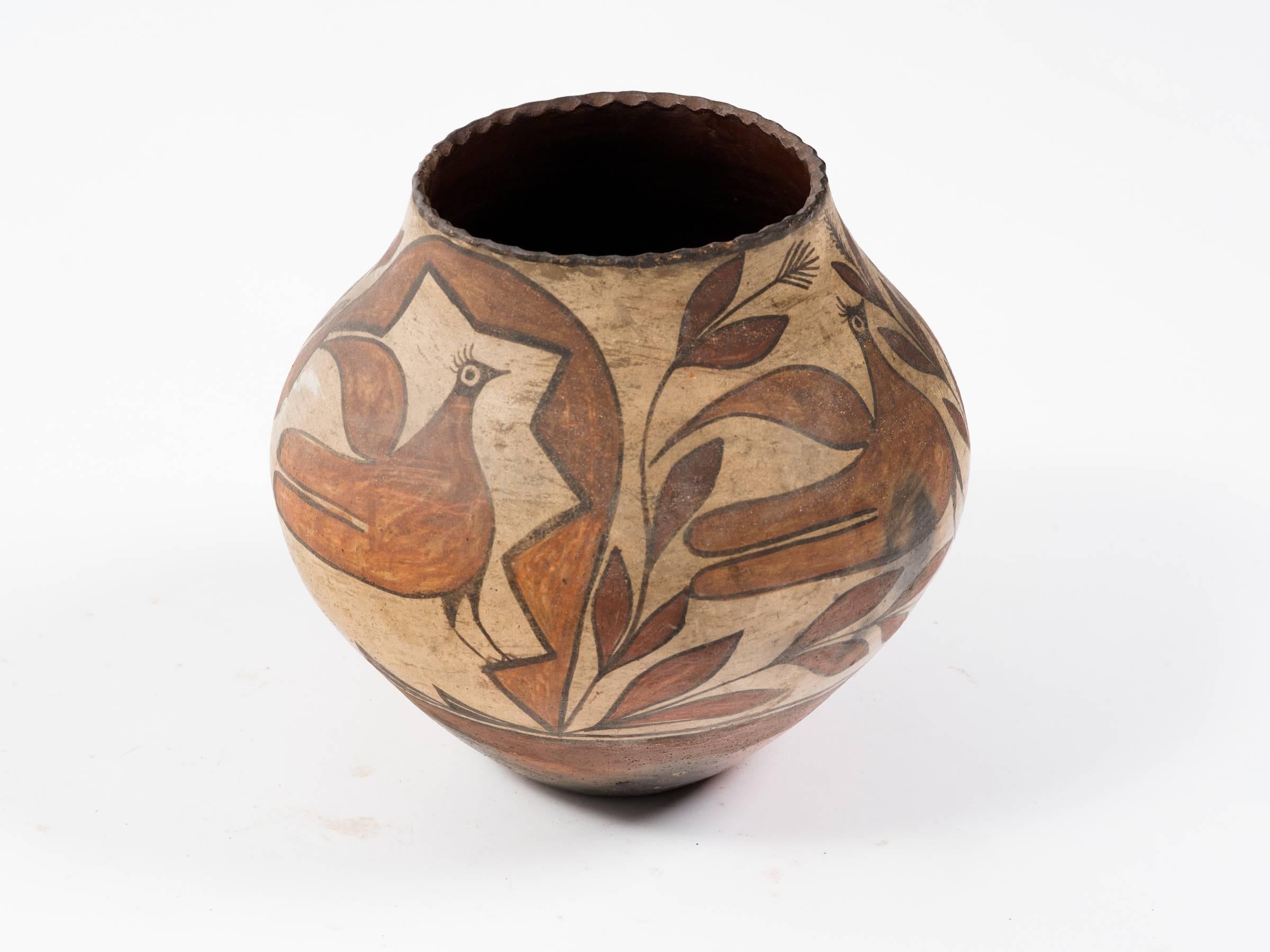 Turn of the Century Zia Pueblo Pottery Olla 3