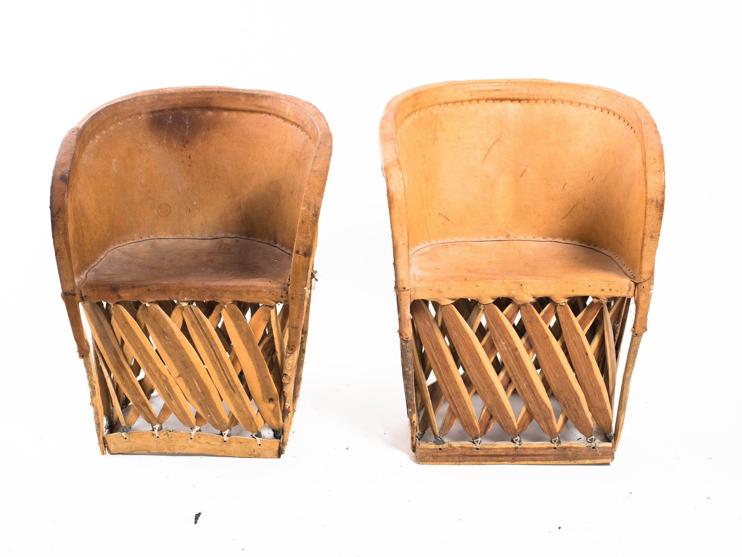 Four Leather Safari Chairs 1