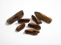 Children's French Shoe Mold Collection