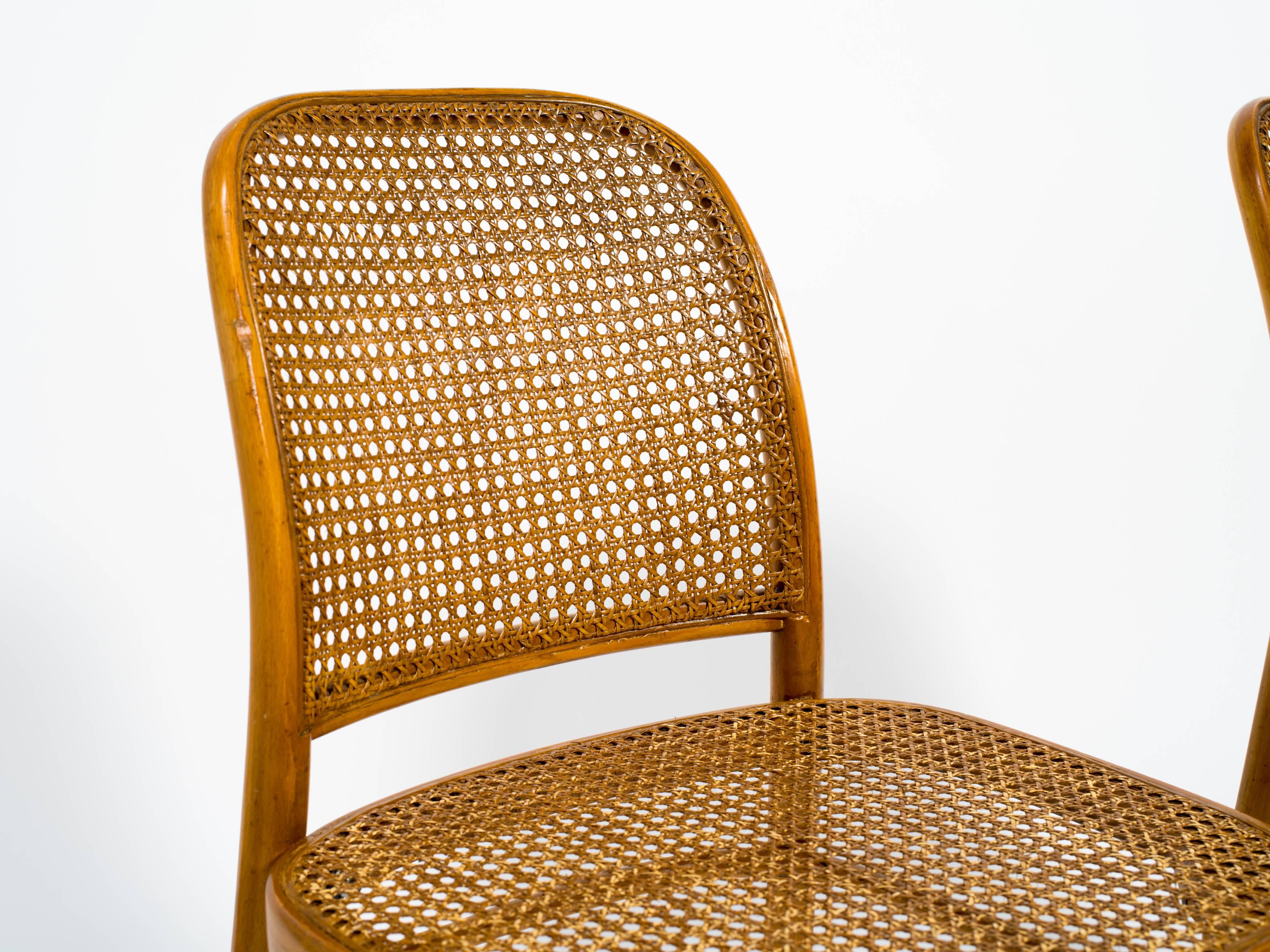 ligna bentwood chairs
