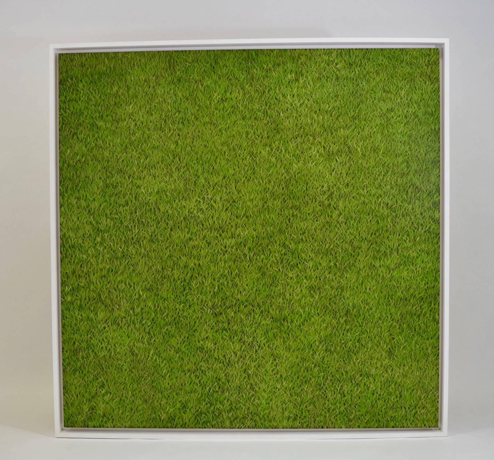 This is a stunning piece by Brian Yoshimi Isobe. Oil on linen grass field. Framed dimensions are 63