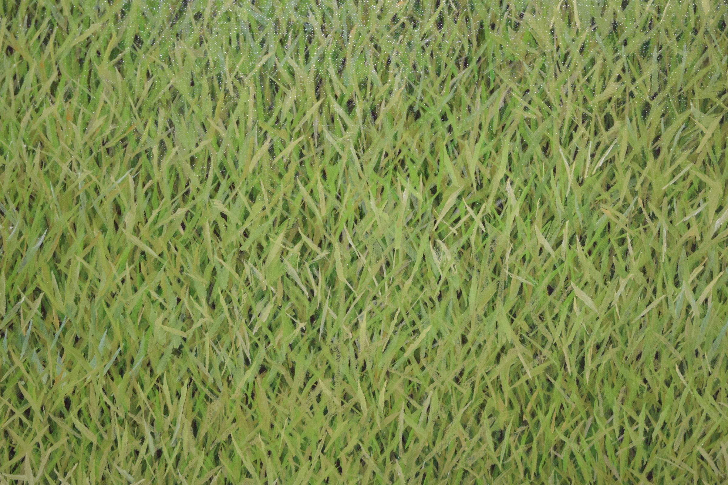 American Large Original Work by Brian Yoshimi Isobe