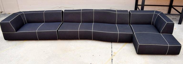 B Italia Bend Sofa By Patricia Urquiola At 1stdibs A Practically Brand New B Italia Sofa The