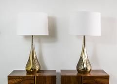 Pair of Brass Brutalist Maurizio Tempestini Lamps