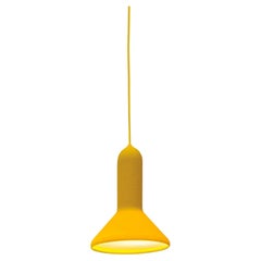 Chandeliers and Pendants