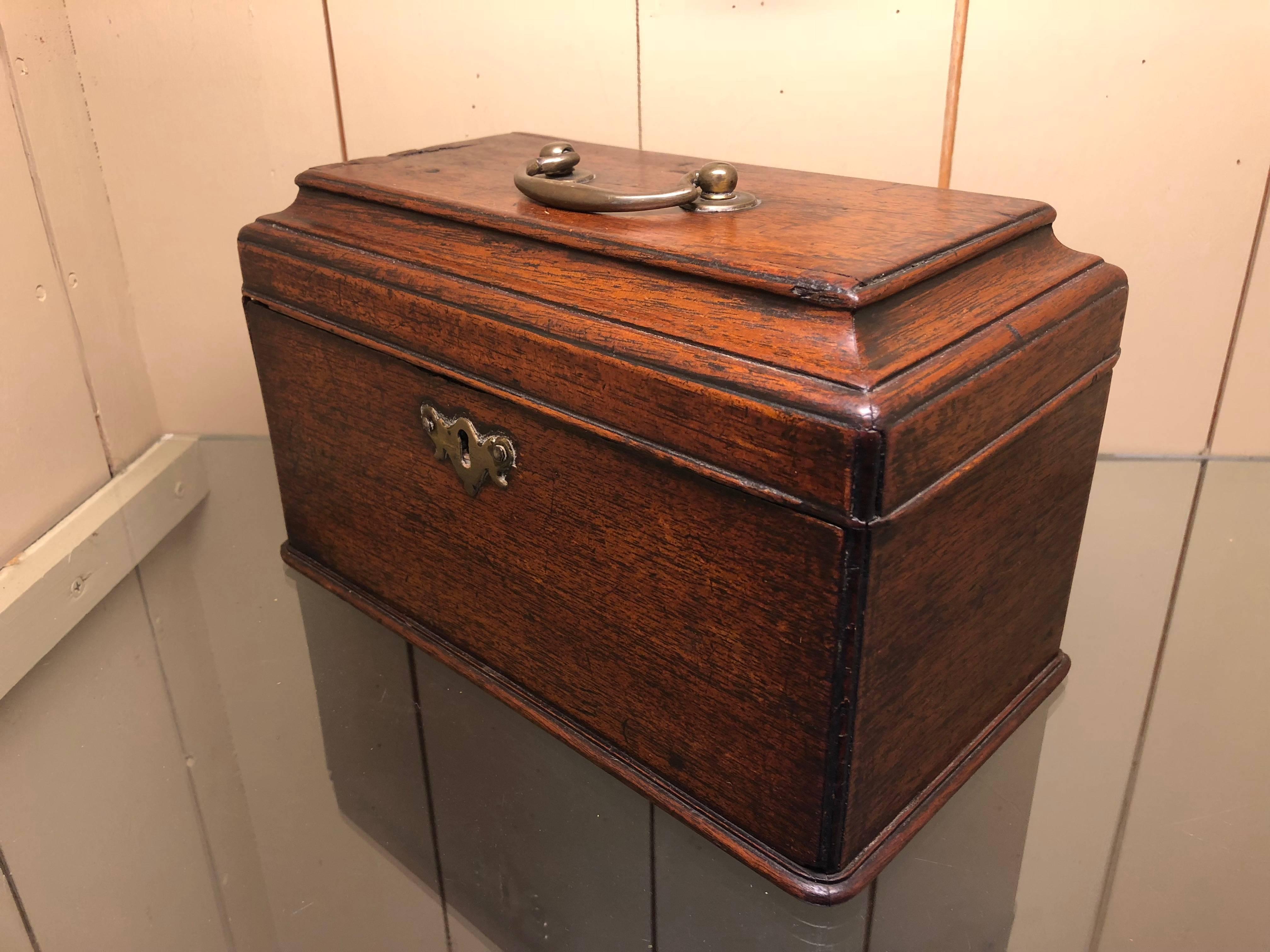 Large 19th Century English Tea Caddy  1