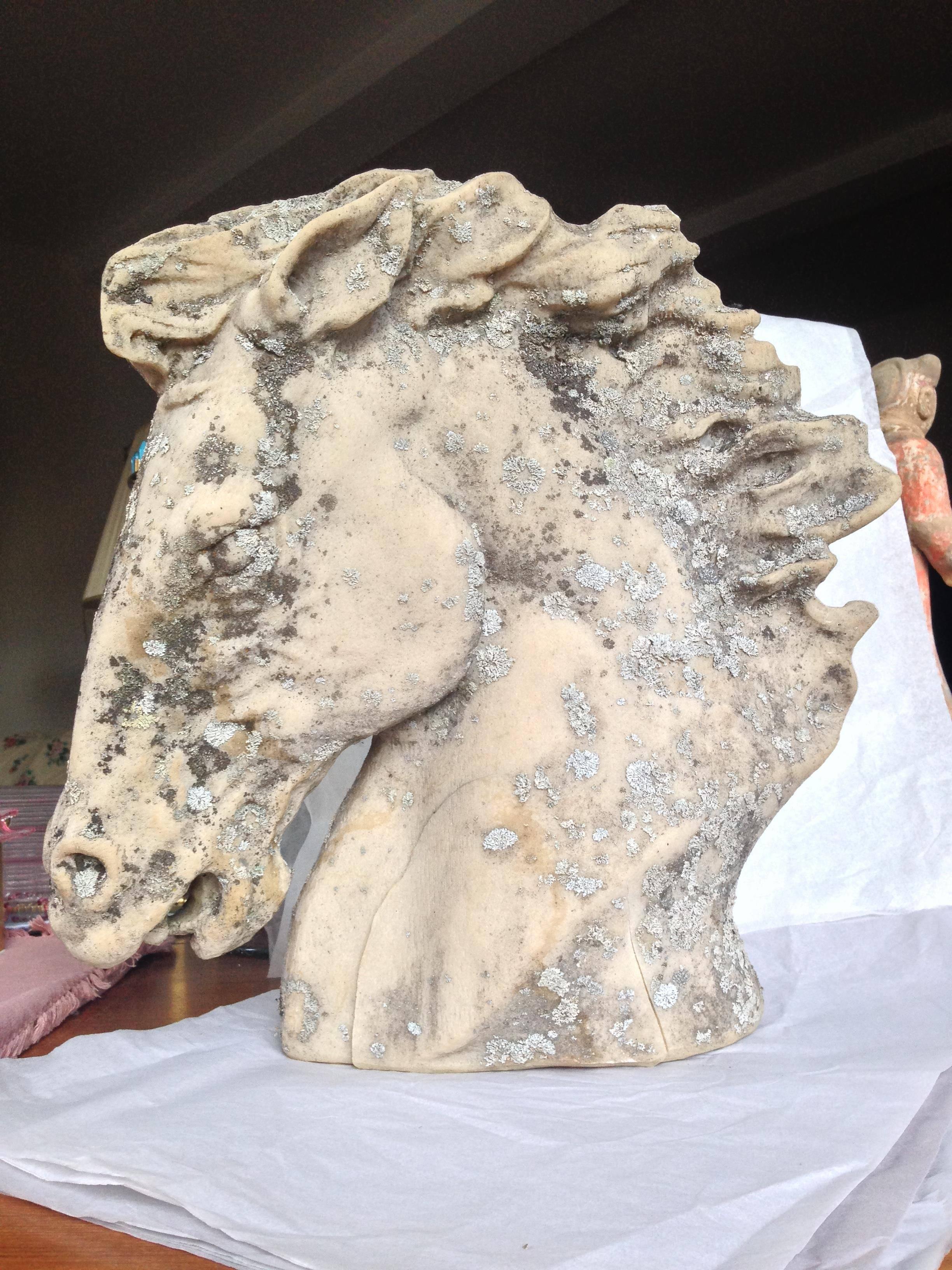 Mid-Century Modern 20th Century Bust of a Horse
