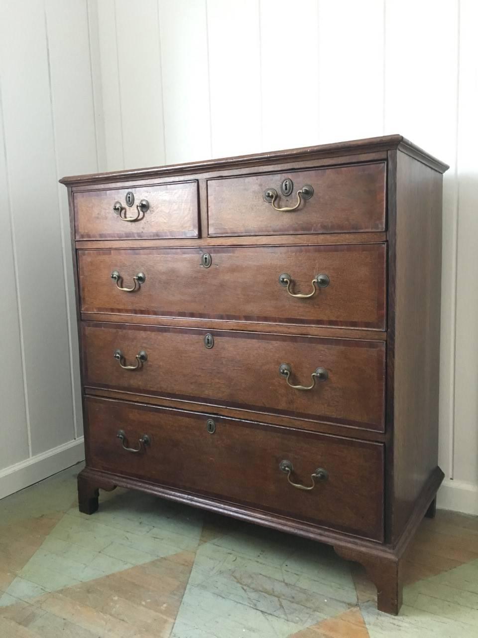English George III Tiger Oak Chest with Mahogany Banding In Excellent Condition In Southampton, NY