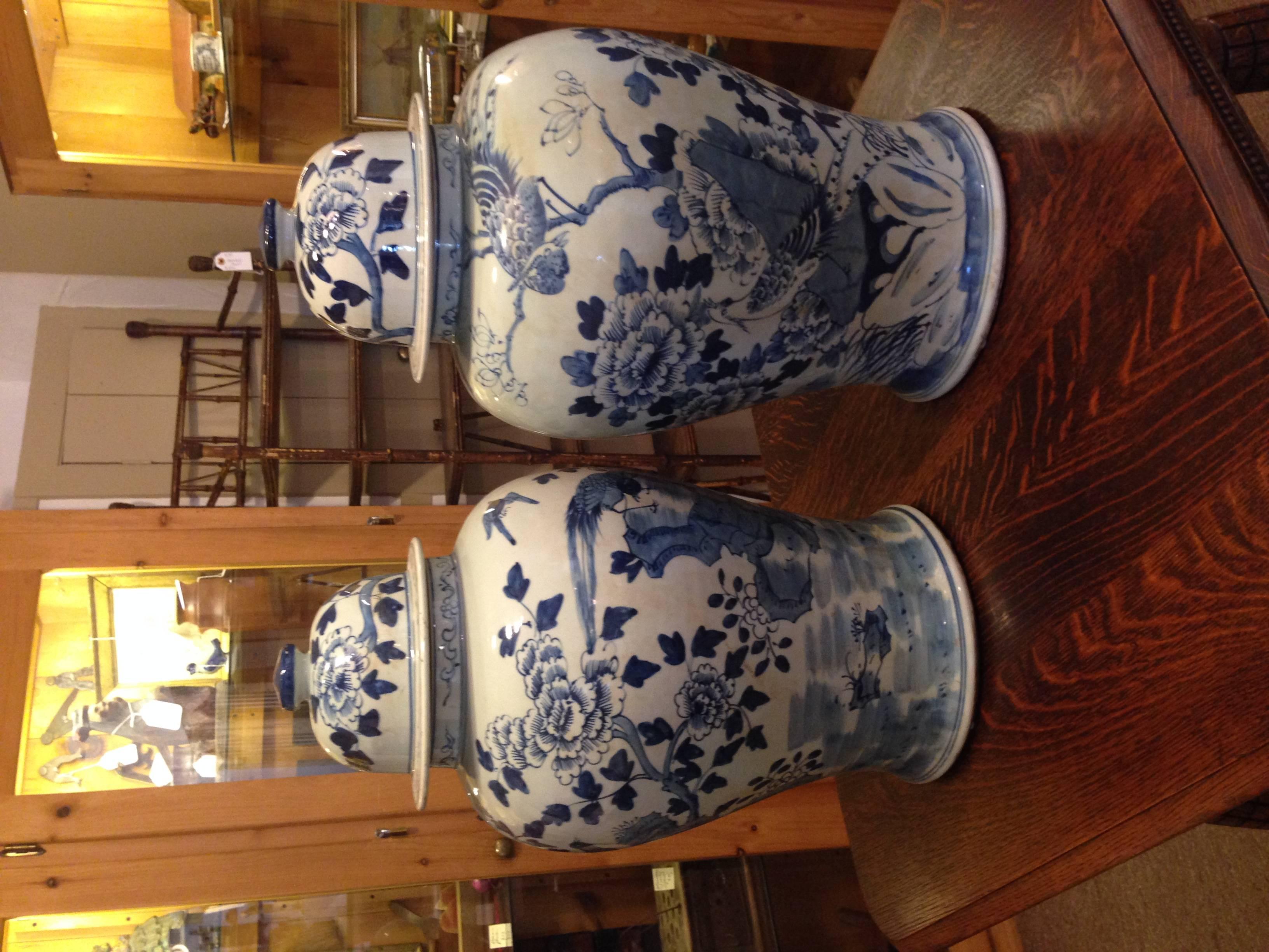 Pair of blue and white Chinese Temple jars with bird and floral motif, 20th century.

Item Location: York, Maine. 