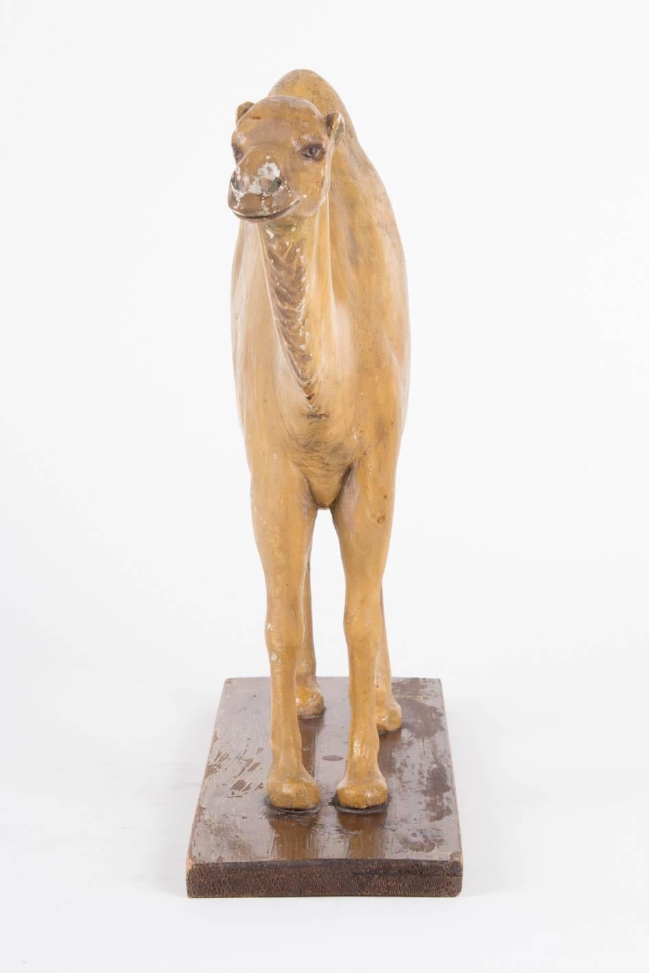 A 19th century camel or dromedary sculpture. 
Carved wood.