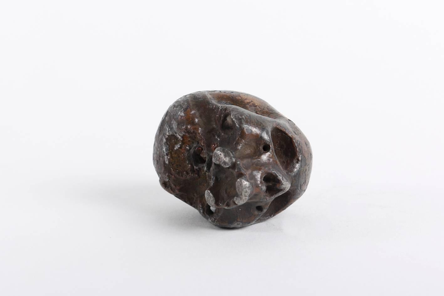 Rare and Decorative Memento Mori Lead Skull, 18th Century 1