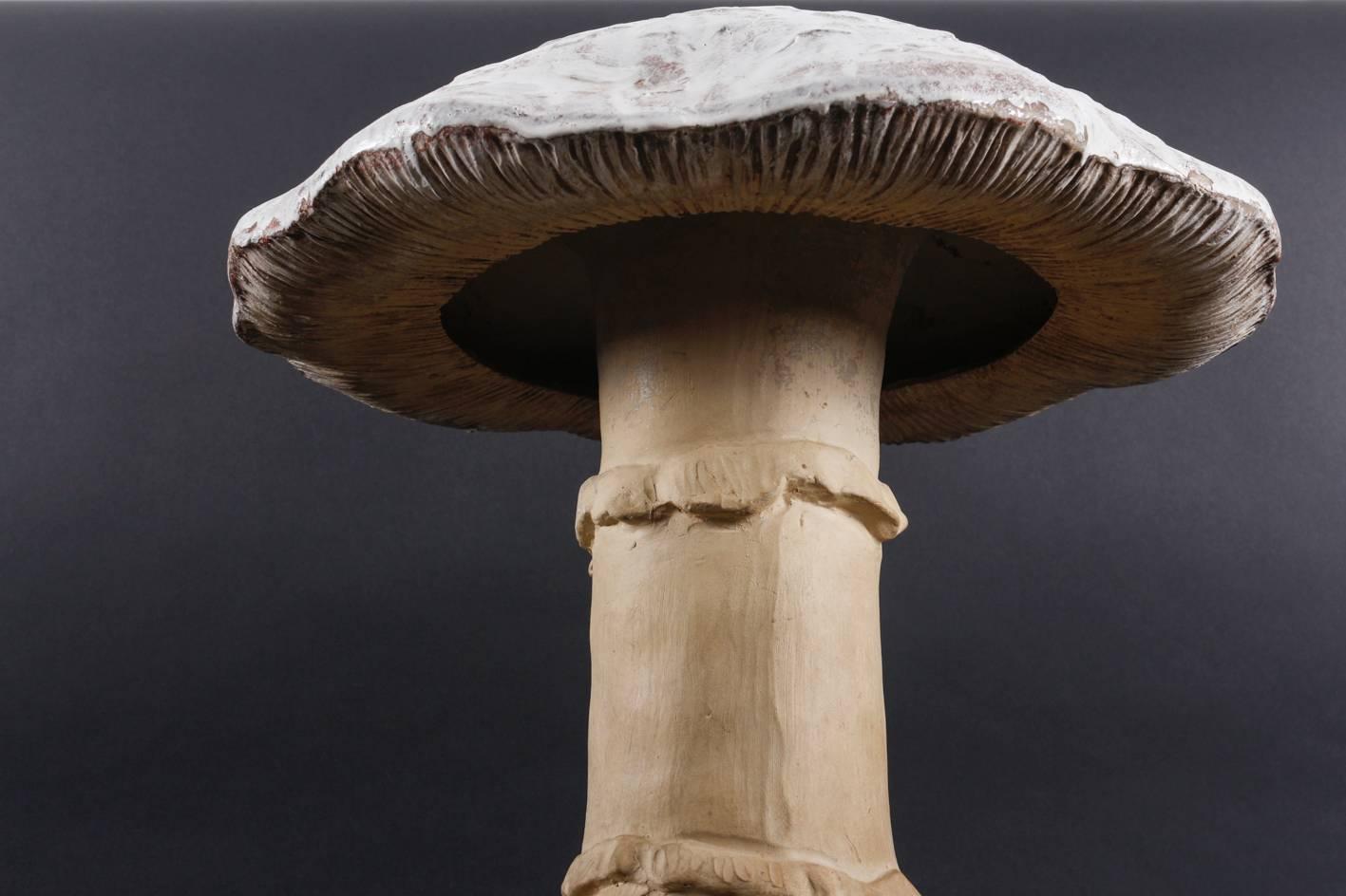 Glazed Large 19th Century Mushroom Terracotta Model by Johann Maresch, Bohemia For Sale